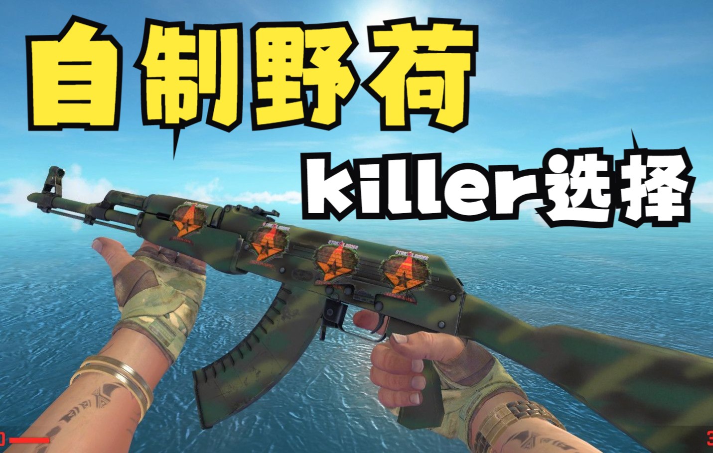 csgo野荷背景图图片