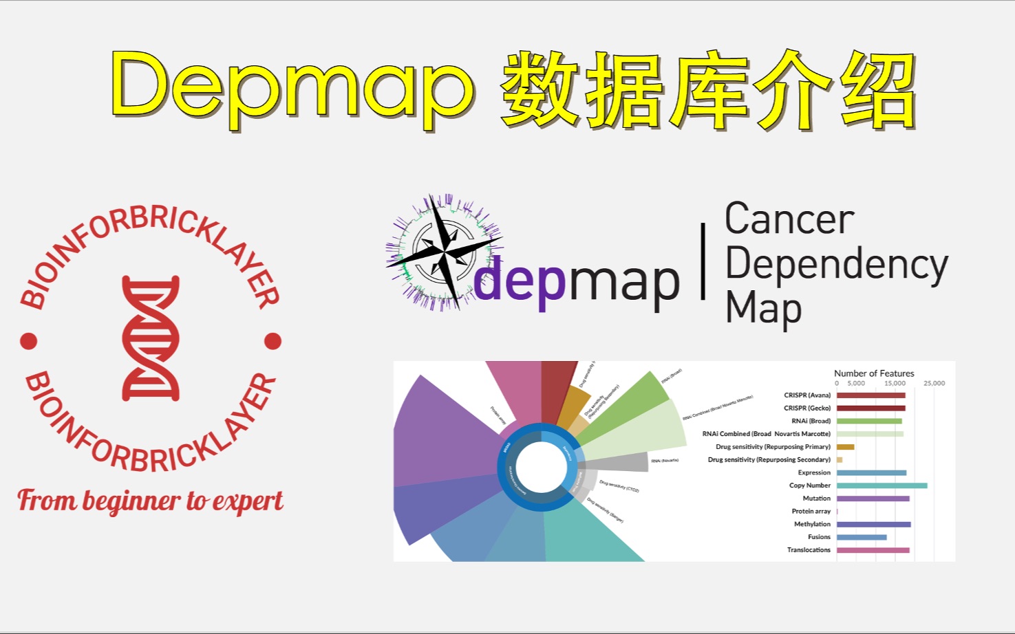 【生信进阶之路|资源篇01】Depmap数据库入门介绍哔哩哔哩bilibili