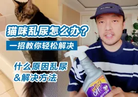 Download Video: 新手养猫 | 猫咪乱尿怎么办？一招教你轻松解决！除猫尿还是得分情况