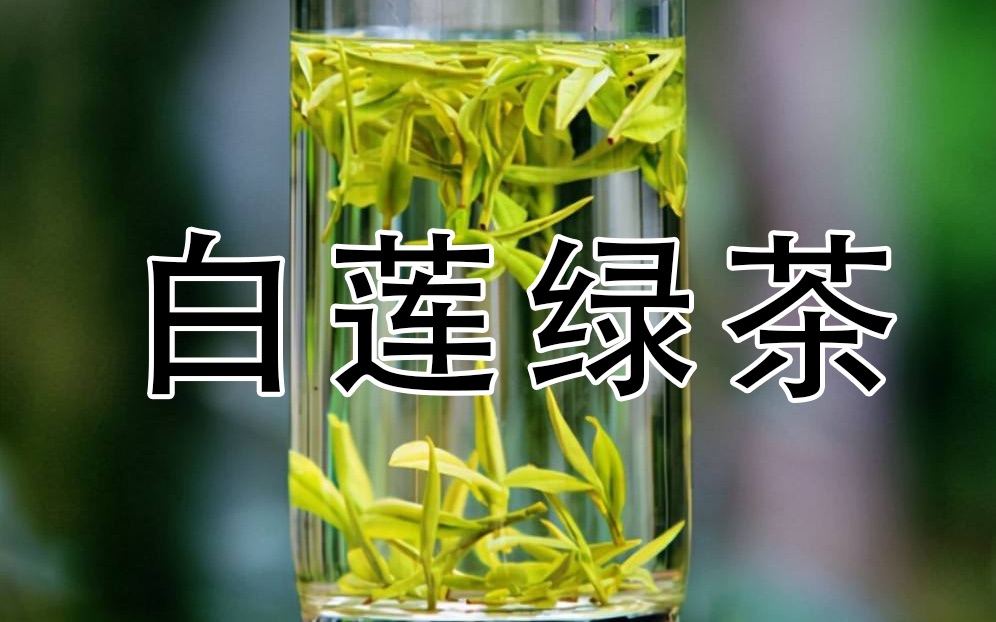 绿茶味白莲花图片