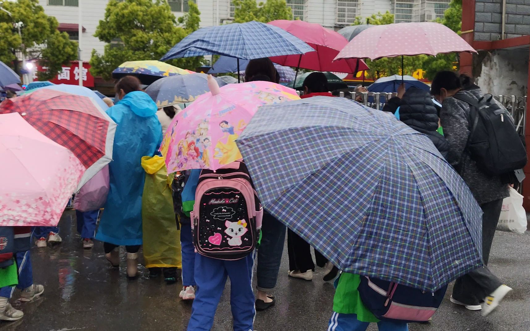 開學第一天東哥冒著大雨去學校接兒子放學回家滿眼都是雨傘