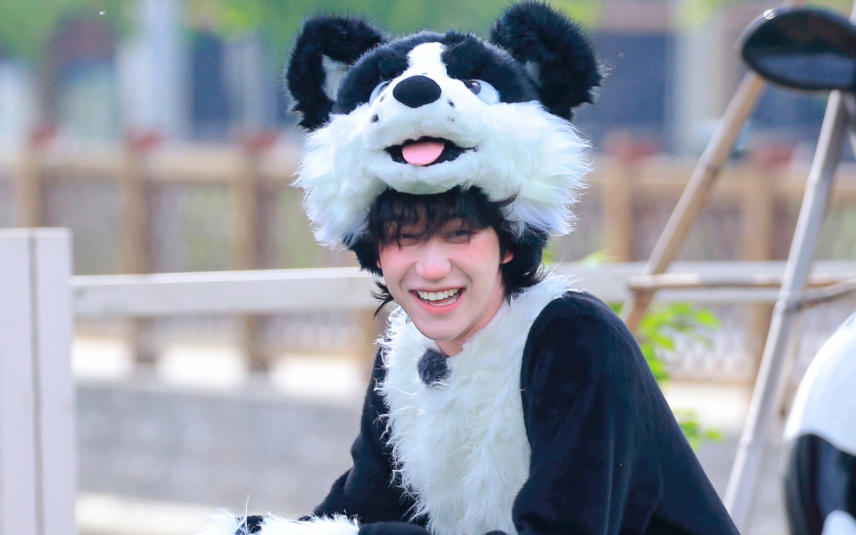 徐明浩青环最新造型,真的好可爱啊 小狗雀斑妆绝了,怎么办爱死了