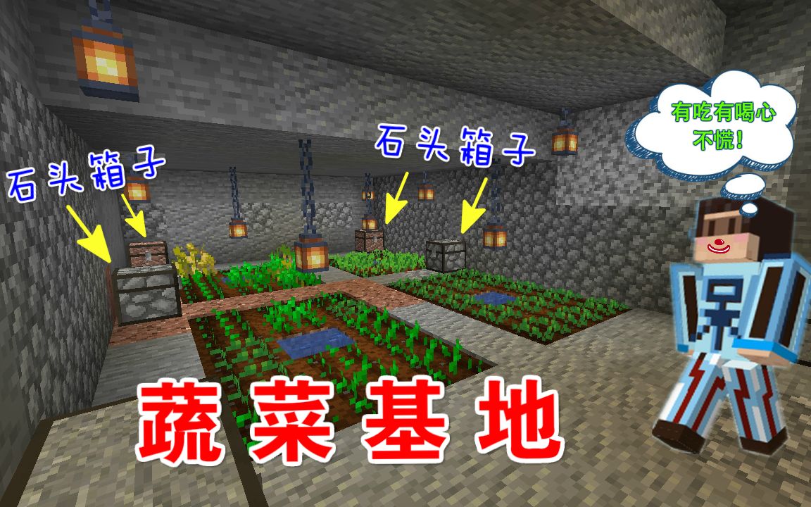mc呆呆生存记第三季62开辟蔬菜基地配备石头箱子