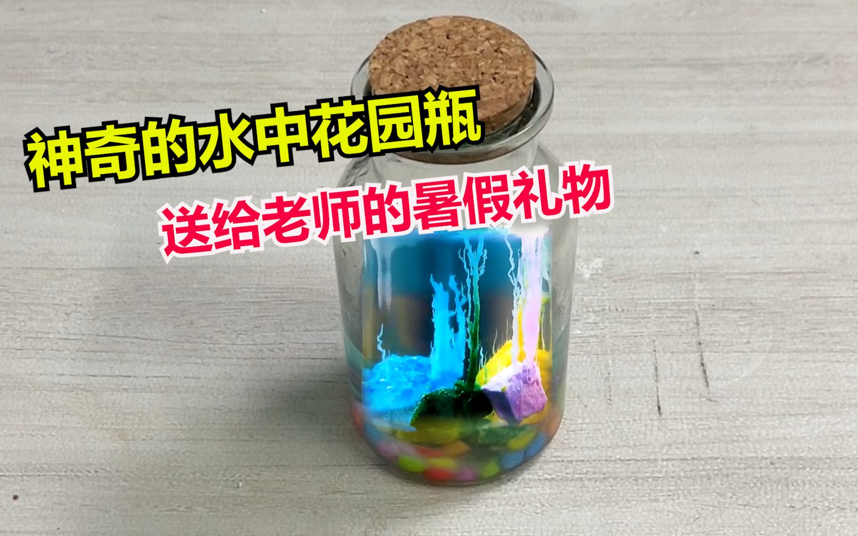 [图]神奇的水中花园瓶，送给老师的暑假礼物