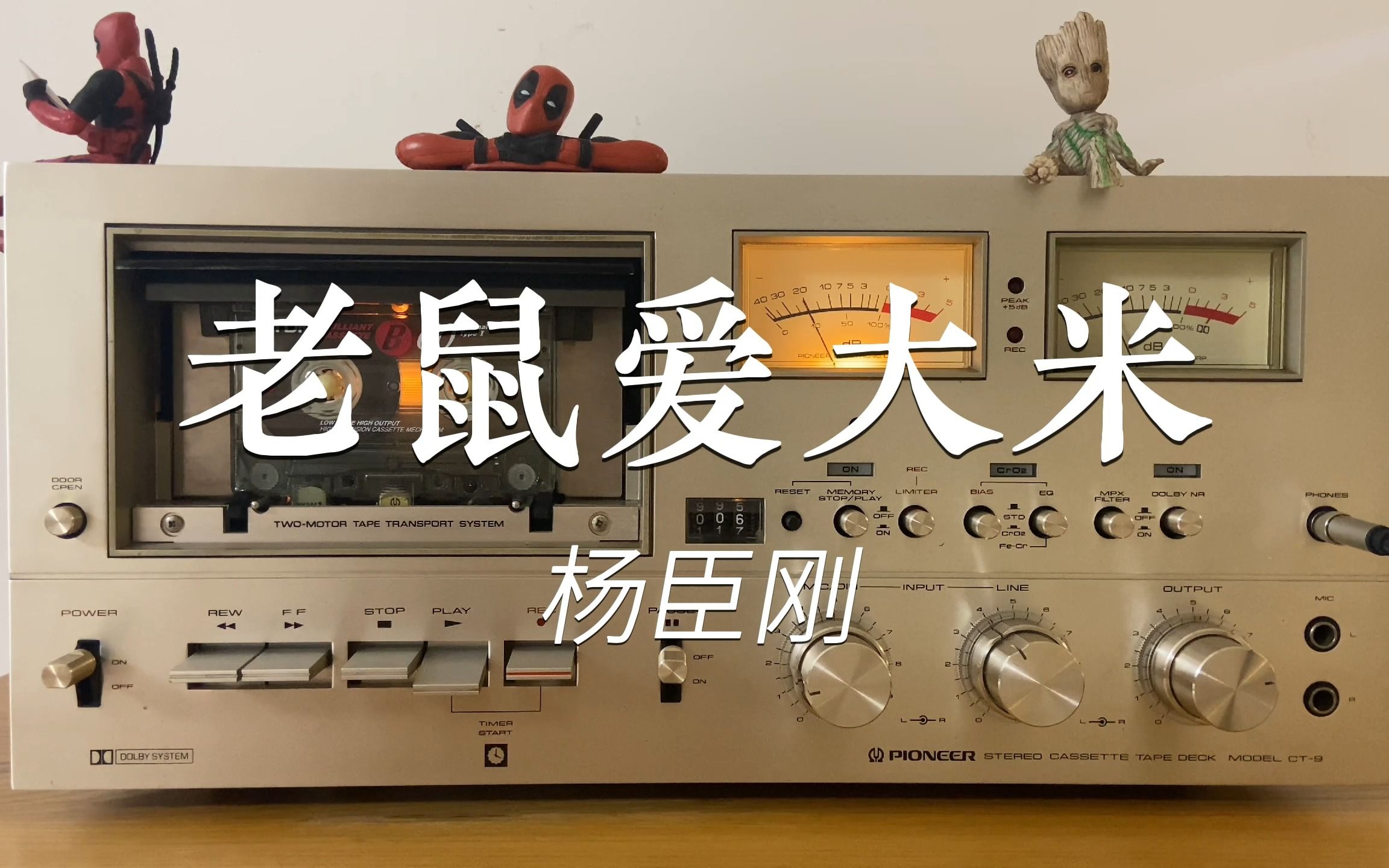 老鼠爱大米歌词 B站