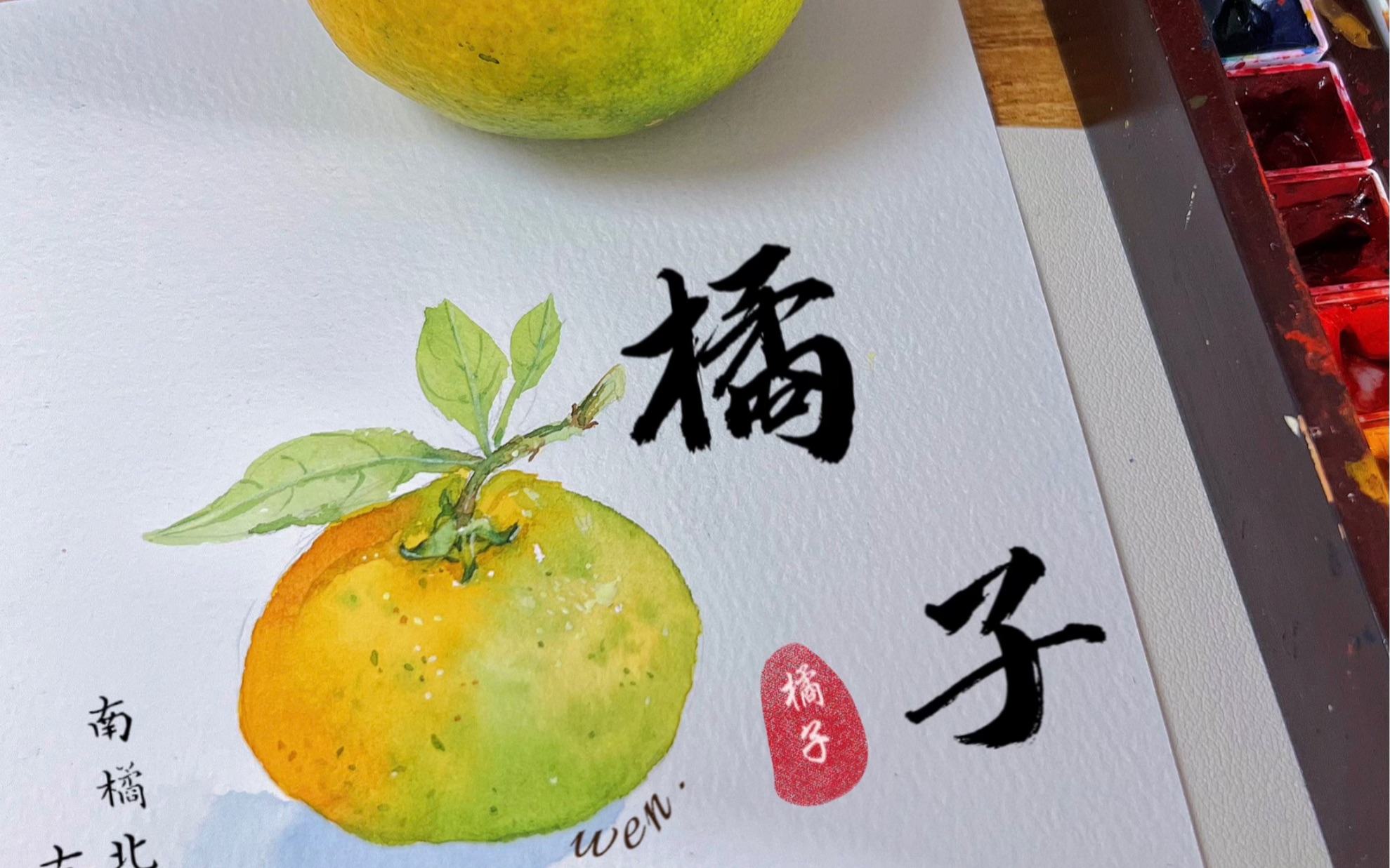 零基础水彩视频|水彩入门|橘子