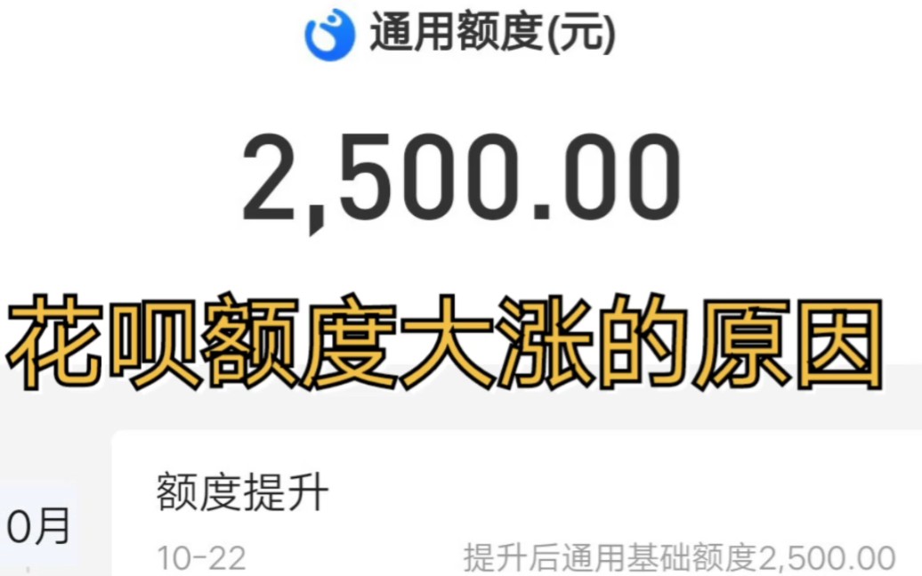 花呗这个月通用额度500涨到2500,花呗额度这个月大涨的主要原因.哔哩哔哩bilibili