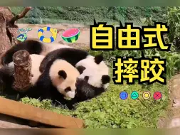 Download Video: 熊猫母女趣味摔跤秀