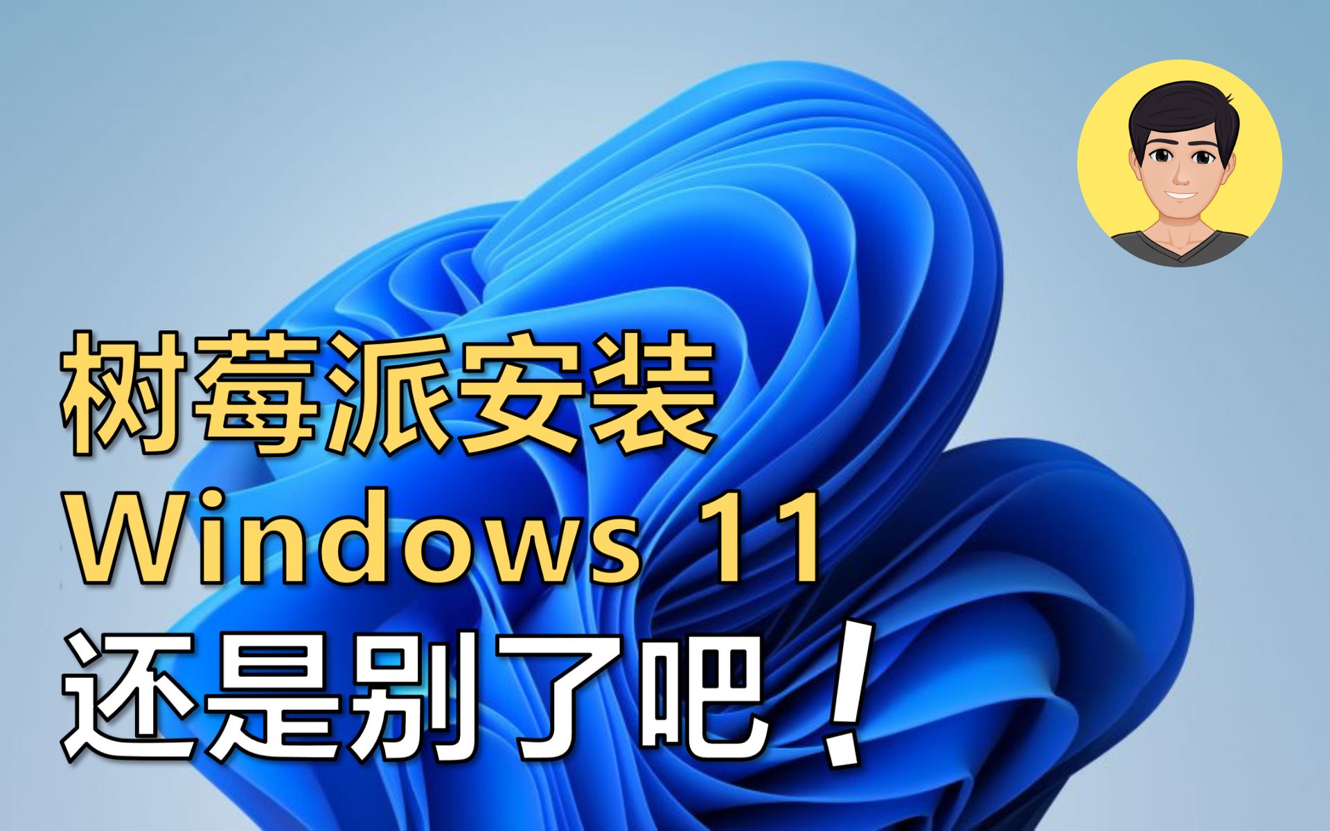 千万别浪费时间 树莓派4 + Windows 11 ARM【明富其识】哔哩哔哩bilibili