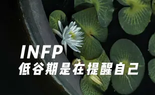 Download Video: infp的低谷期其实是在提醒自己