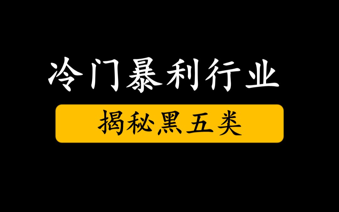 冷门暴利行业之黑五类揭秘 年入百万最快的思维逻辑哔哩哔哩bilibili