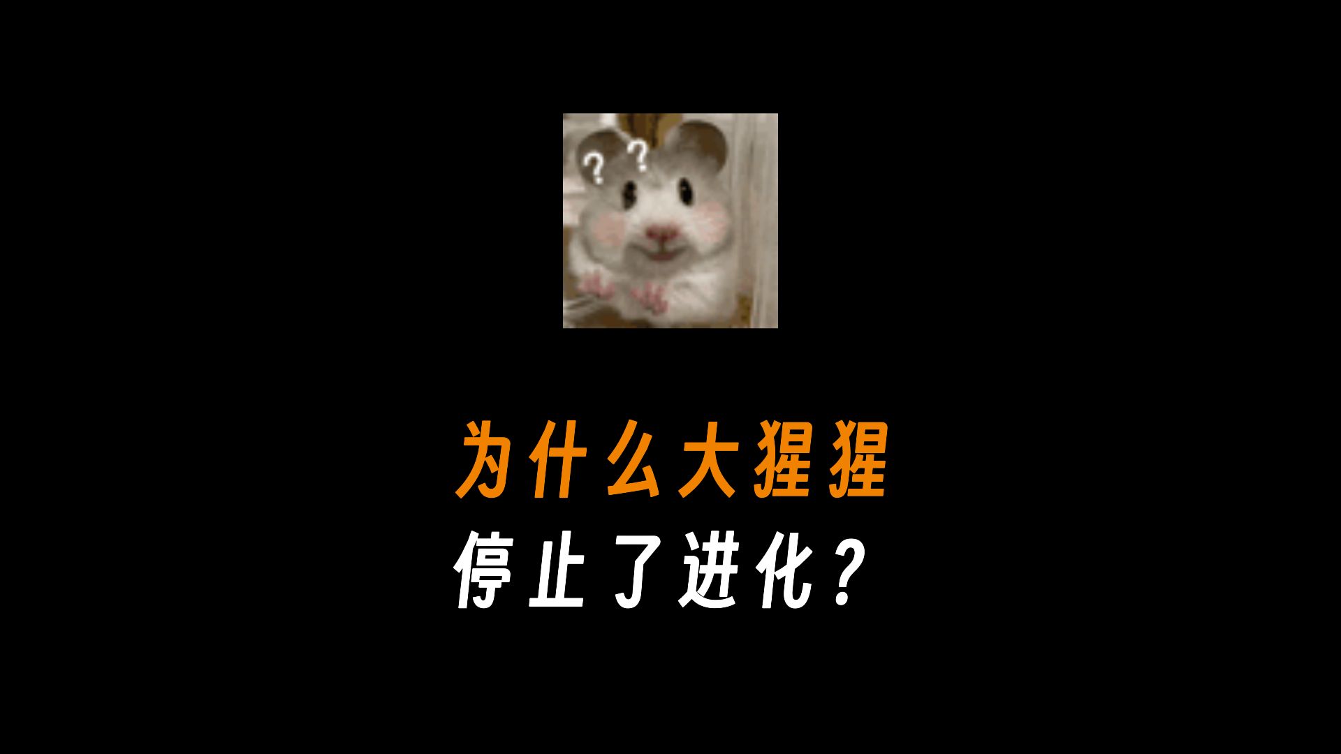 为什么大猩猩停止了进化?哔哩哔哩bilibili