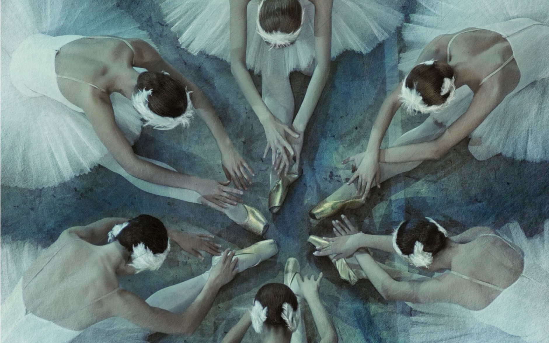 【芭蕾/天鹅之死/混剪】拨弦惊火凤,交扇拂天鹅——俄罗斯多位首席美