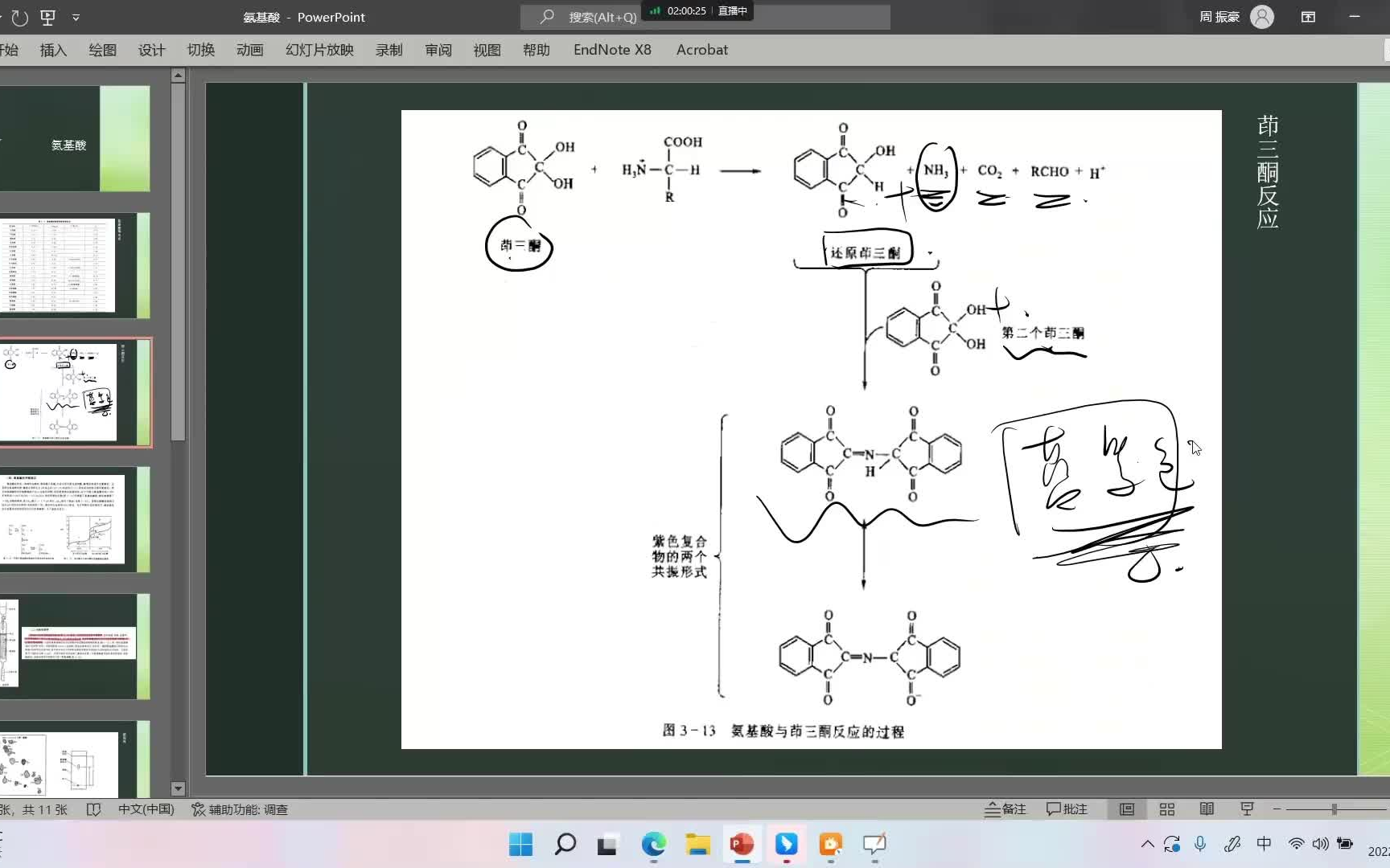 生化重点4茚三酮反应哔哩哔哩bilibili