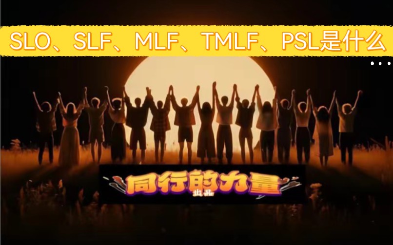 SLO、SLF、MLF、TMLF、PSL是什么?哔哩哔哩bilibili