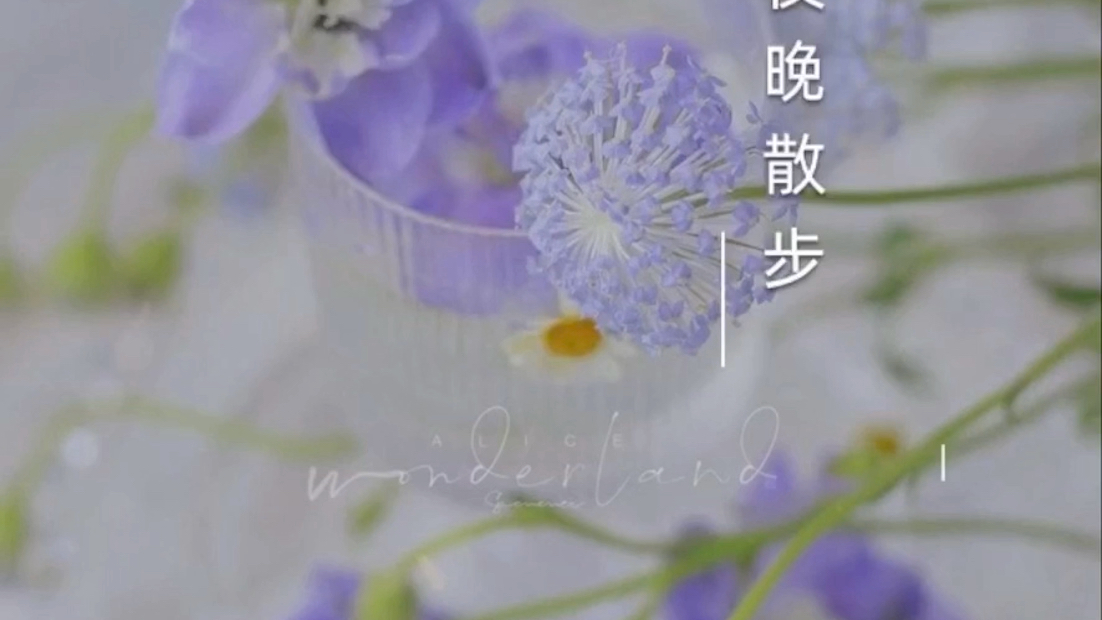 【漫时光】夏日清和哔哩哔哩bilibili