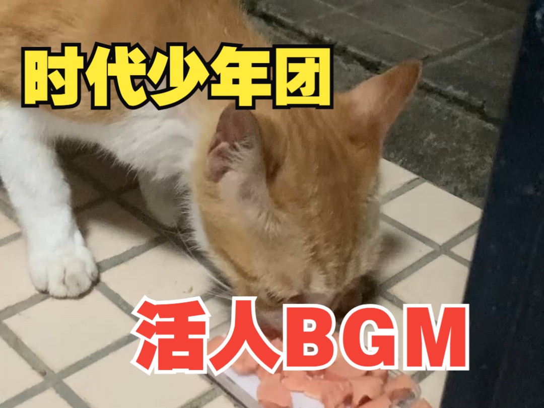 当时代少年团遇上恐龙抗狼活人bgm