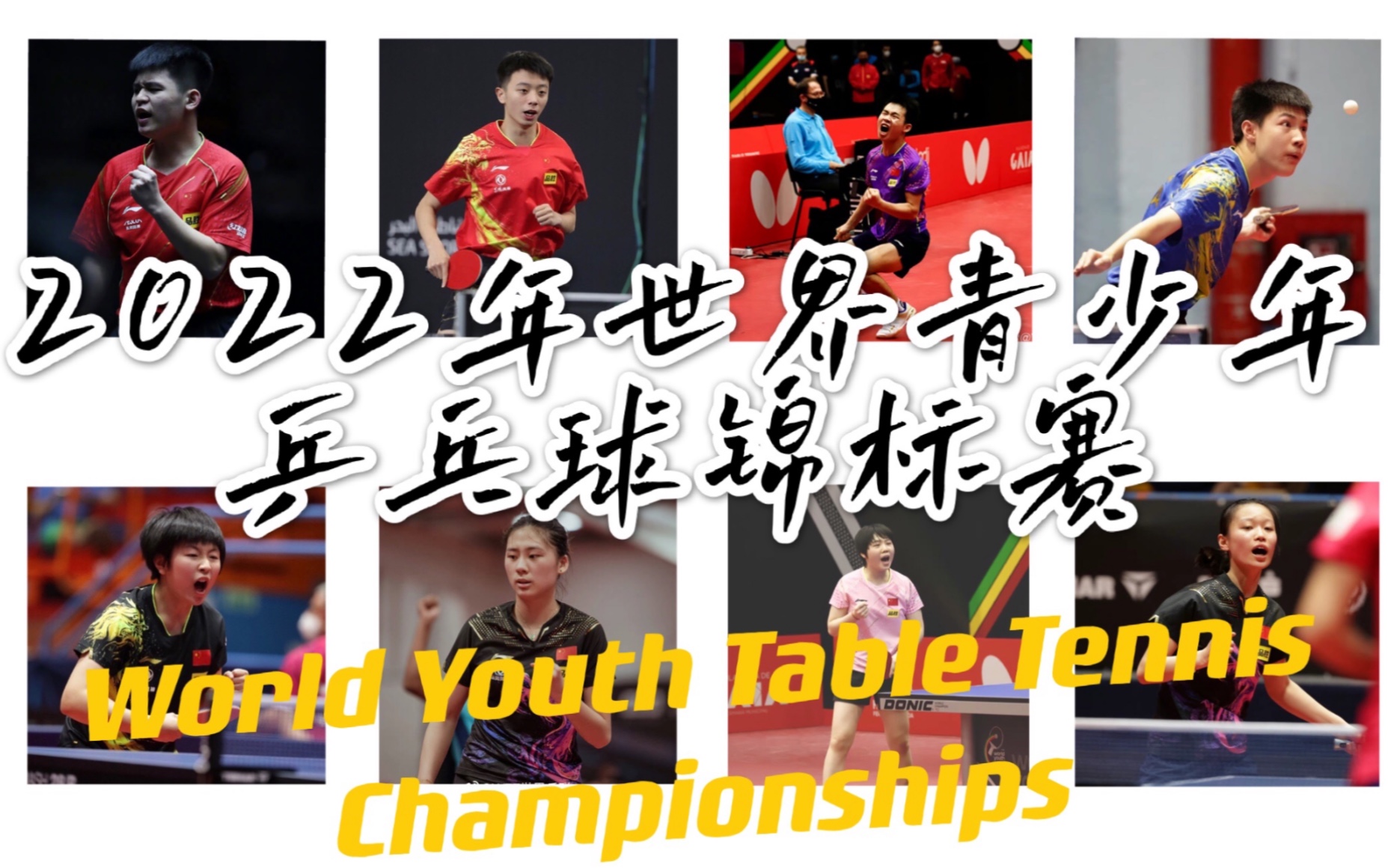 【2022乒乓球世青赛应援|U19】抛起的小白球 是一代又一代的梦想哔哩哔哩bilibili