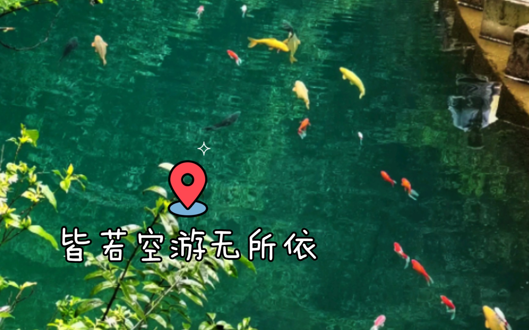 潭中鱼可百许头,皆若空游无所依