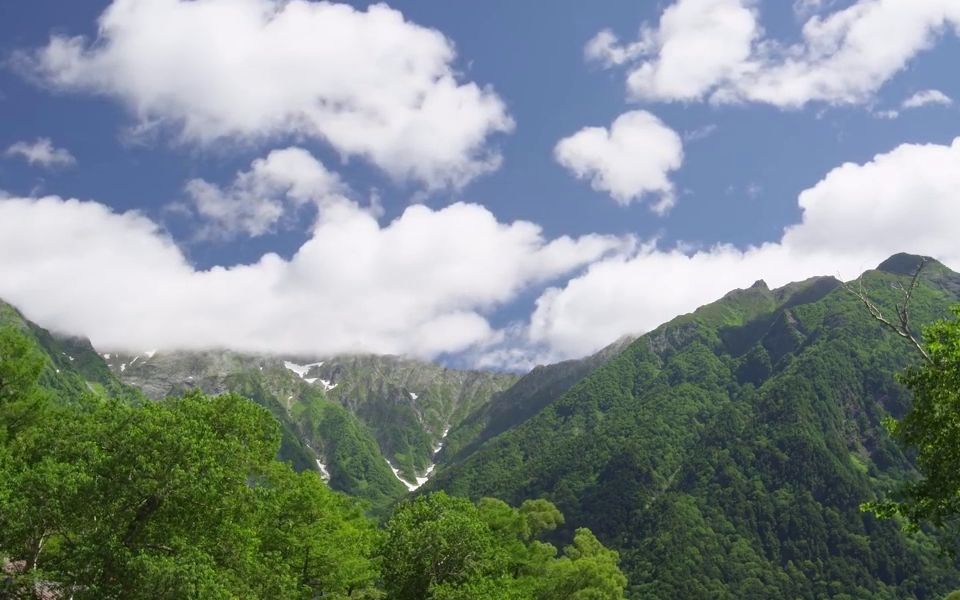 [图]古琴曲欣赏《云林禅音》谢海清：日暮苍山，天籁流觞，听之人心安乐