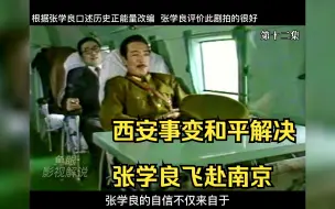 Video herunterladen: 西安兵谏和平解决 张学良飞赴南京（第12集）