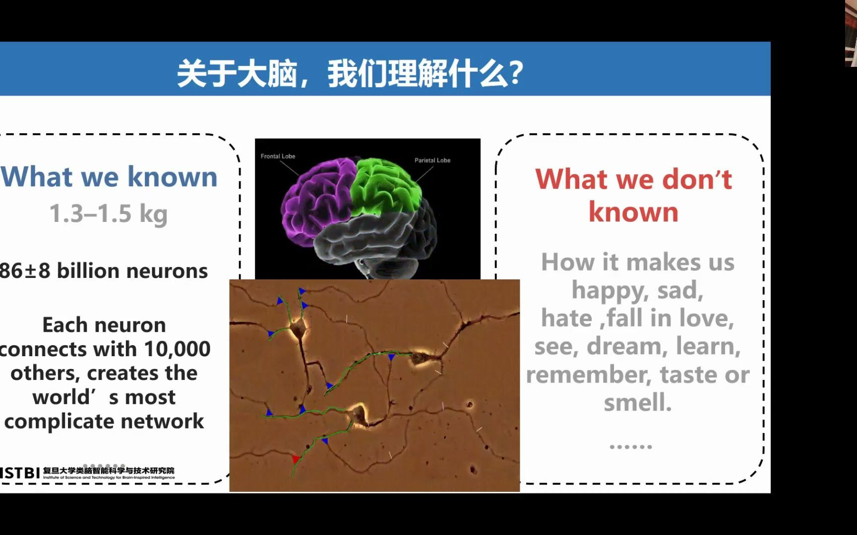 类脑智能科学技术研究院 冯建峰:从脑数据到数字孪生脑哔哩哔哩bilibili