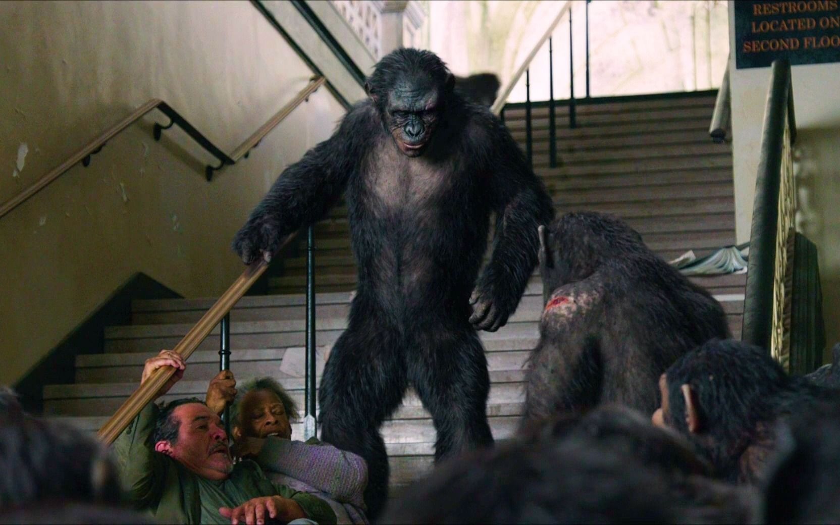 猩球崛起 科巴已经为了仇恨不择手段了