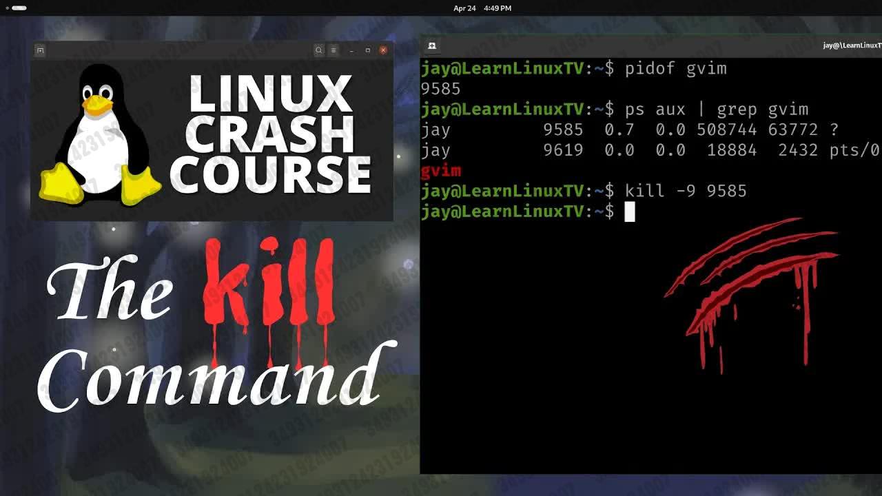 如何正确使用Linux中的kill命令？
