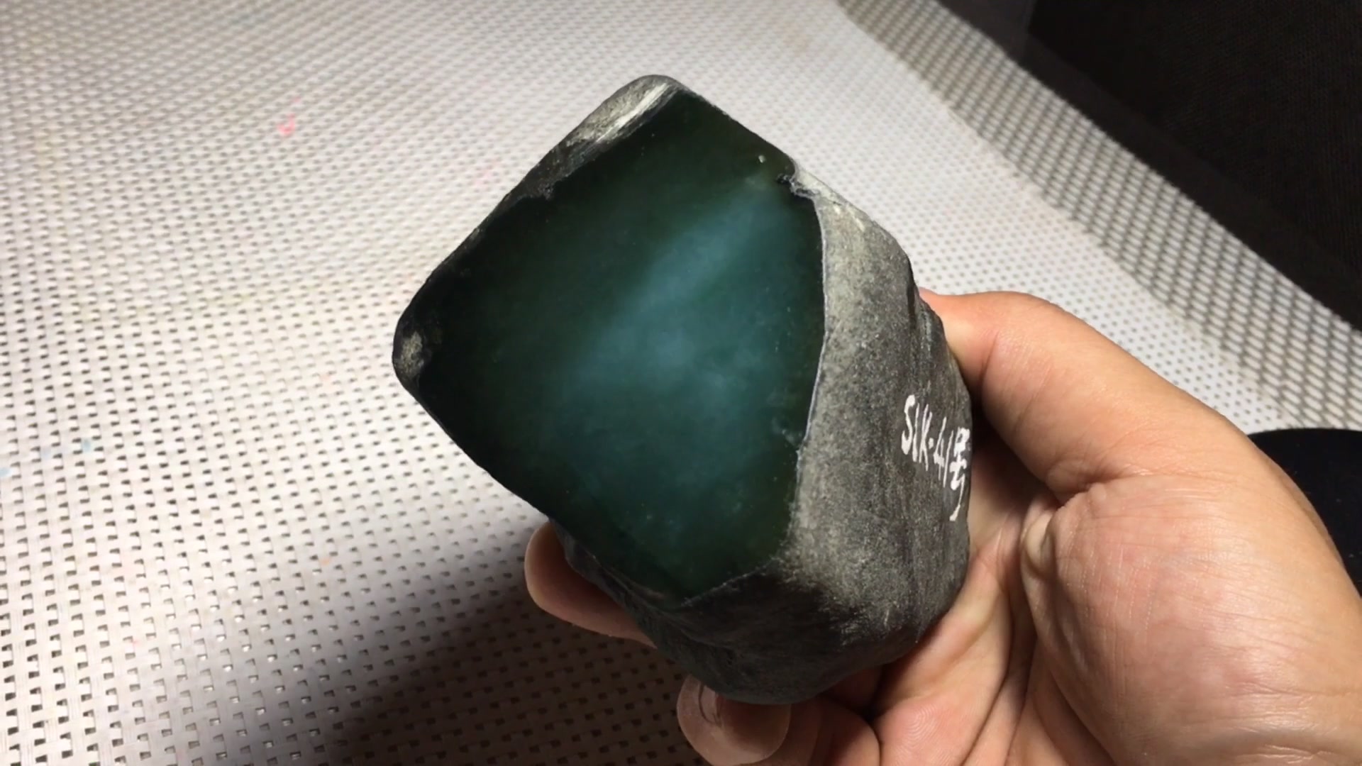 老厂格应角分享少见的品种老油青你见过么