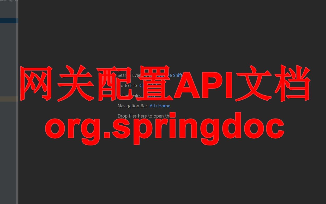 Java API 接口文档生成、如何学习编程、编译打包、如何提问、如何PR、20221024 直播录像哔哩哔哩bilibili