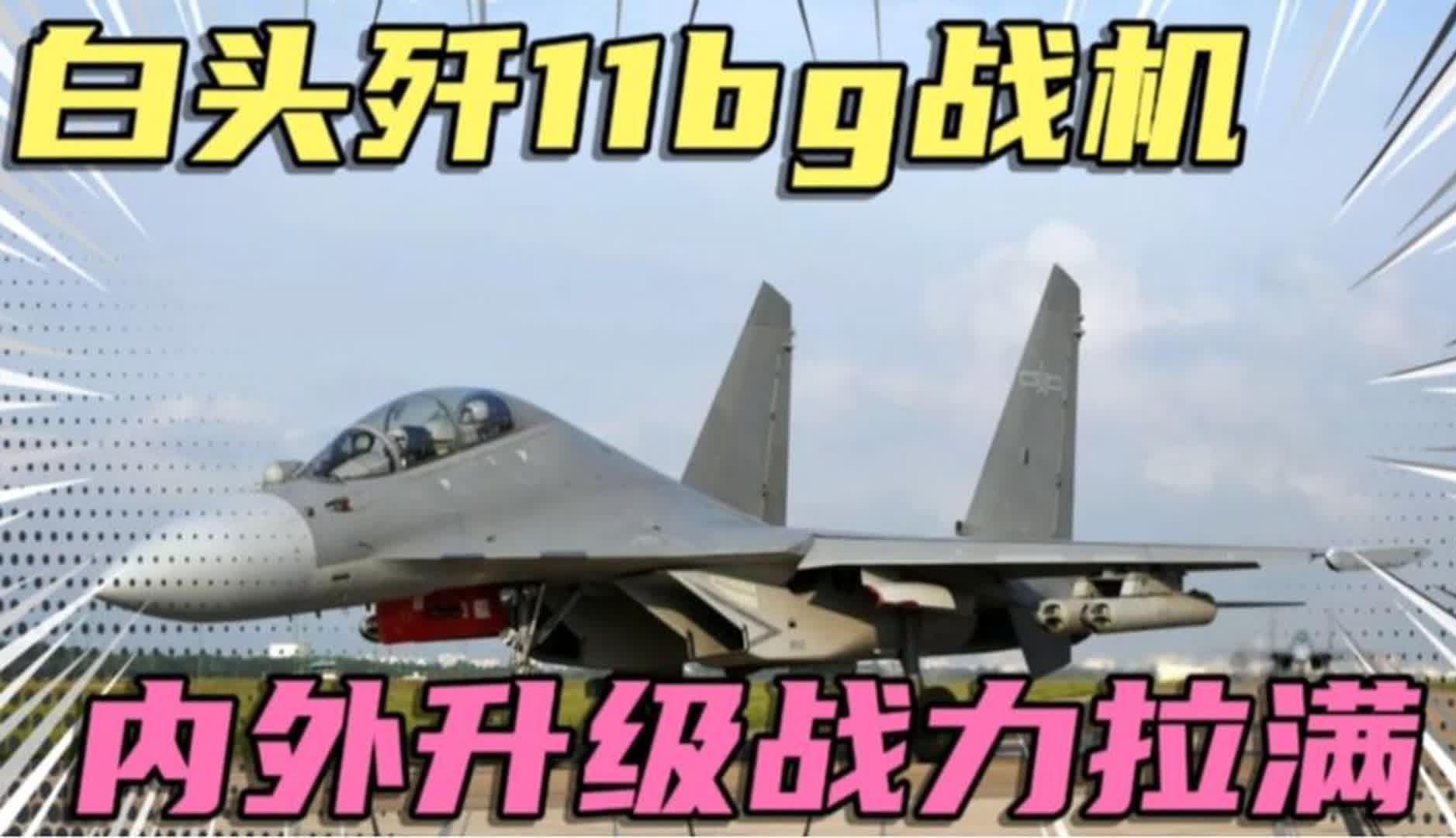 340架歼11战机大规模升级改造,白头歼11BG武力值拉满哔哩哔哩bilibili