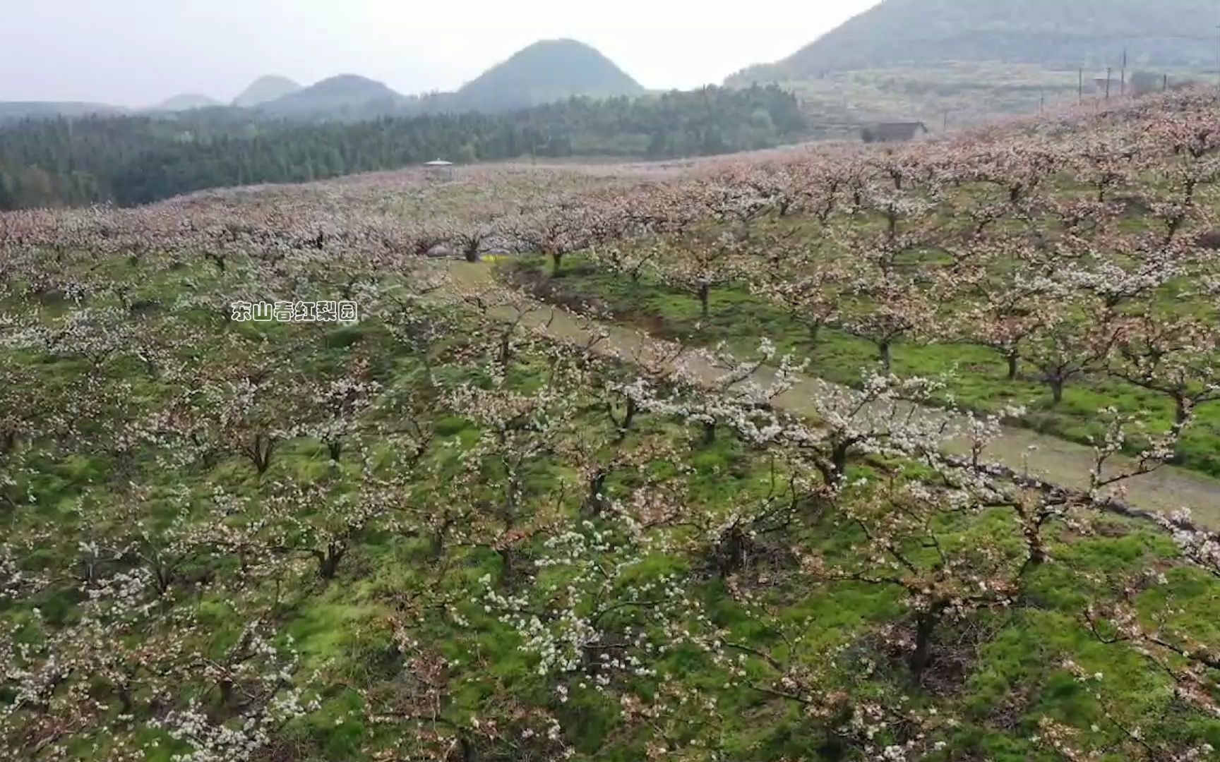 [图]航拍全州东山春色（唐泽德/摄）