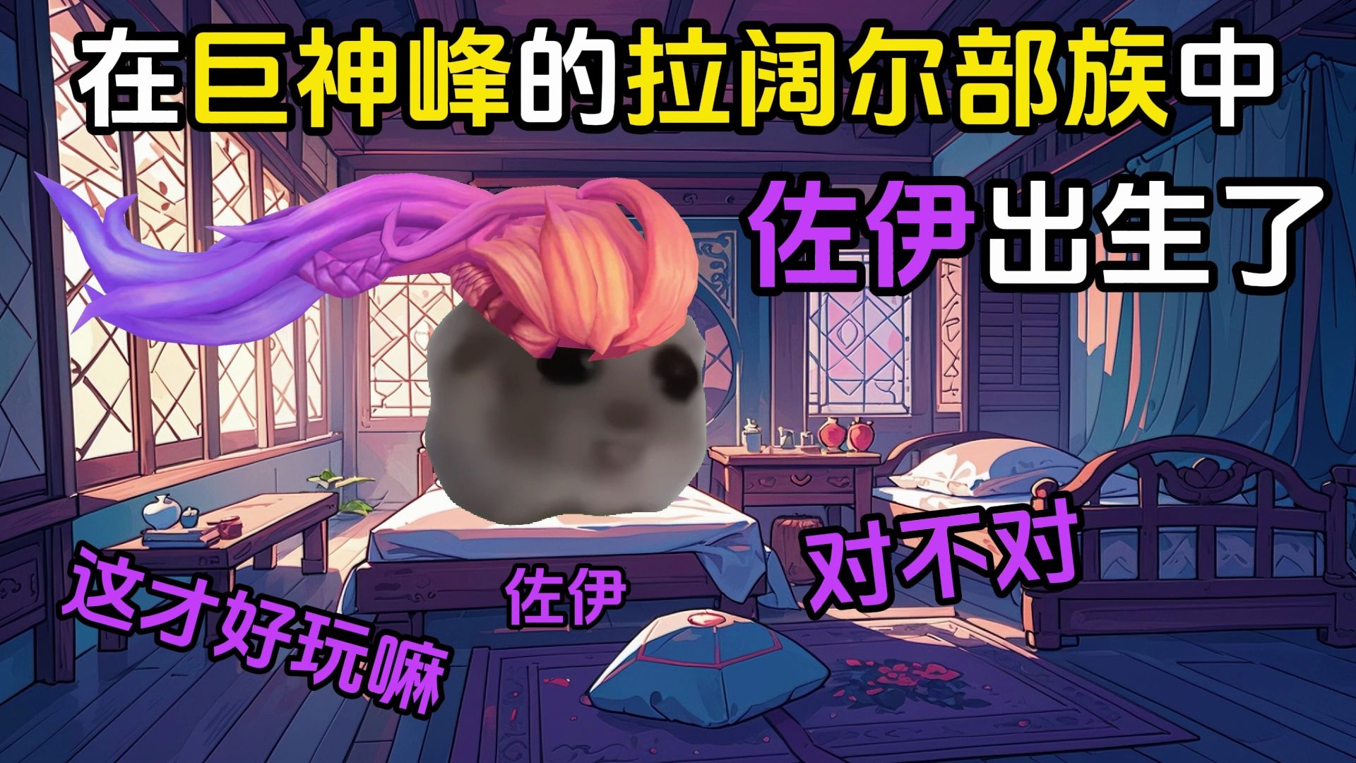 【猫meme】2分15秒看完佐伊的故事哔哩哔哩bilibili