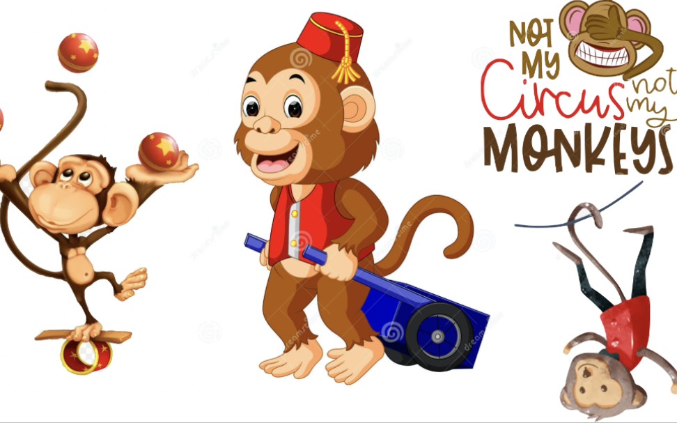 中国传统文化 传统武术 不应该是猴戏