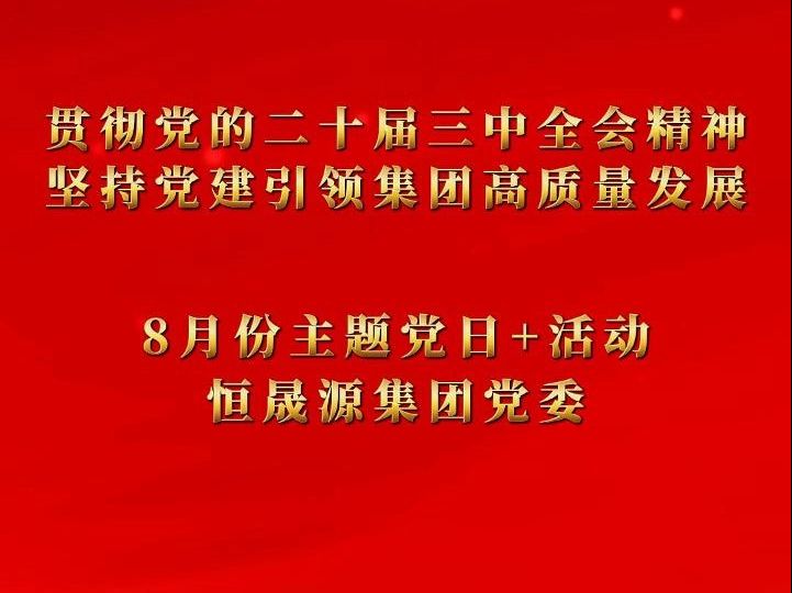 恒晟源集团党委近期召开“贯彻党的二十届三中全会精神、坚持党建引领集团高质量发展”8月份主题党日+活动.哔哩哔哩bilibili