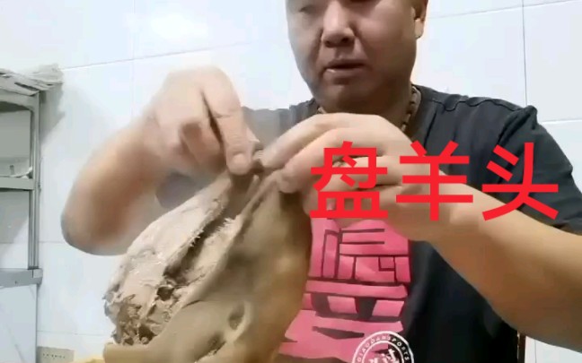 表哥盘羊头太棒了哔哩哔哩bilibili