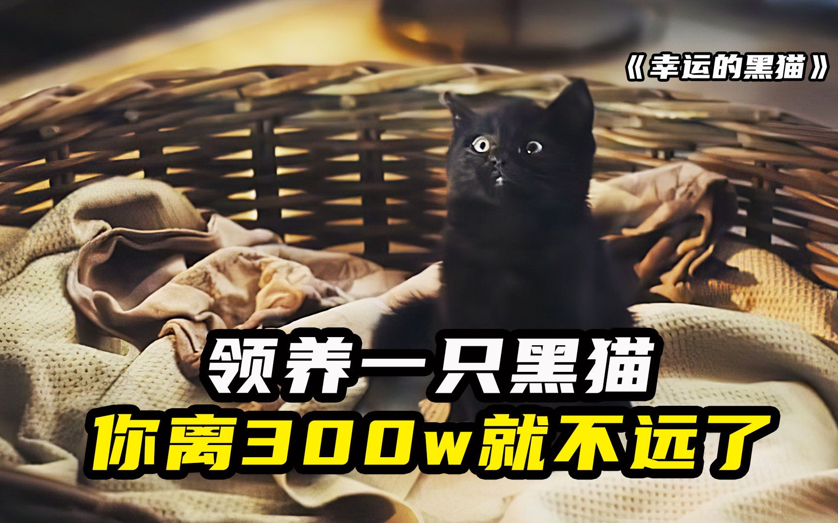 [图]领养一只小黑猫，你离300万就不远了！！（三个萌死人的小短片）