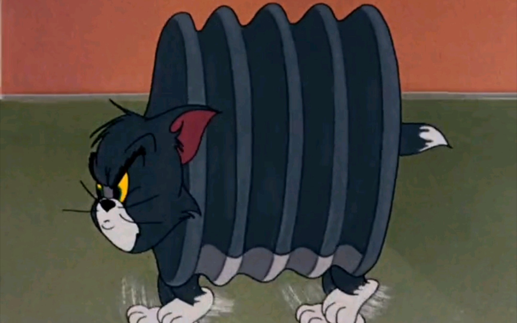 猫和老鼠之汤姆猫变形计