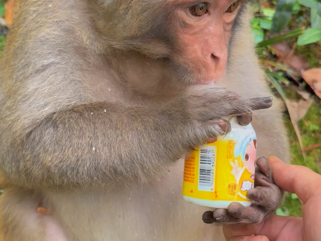 看看四月洗手没有?