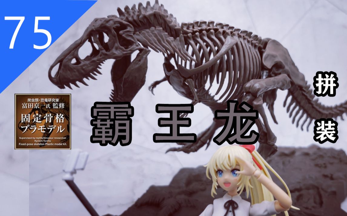 [图]【鱼豆腐拼装】霸王龙的骨架 迅猛龙的姿势？—— 万代 1/32 Imaginary Skeleton Tyrannosaurus 霸王龙