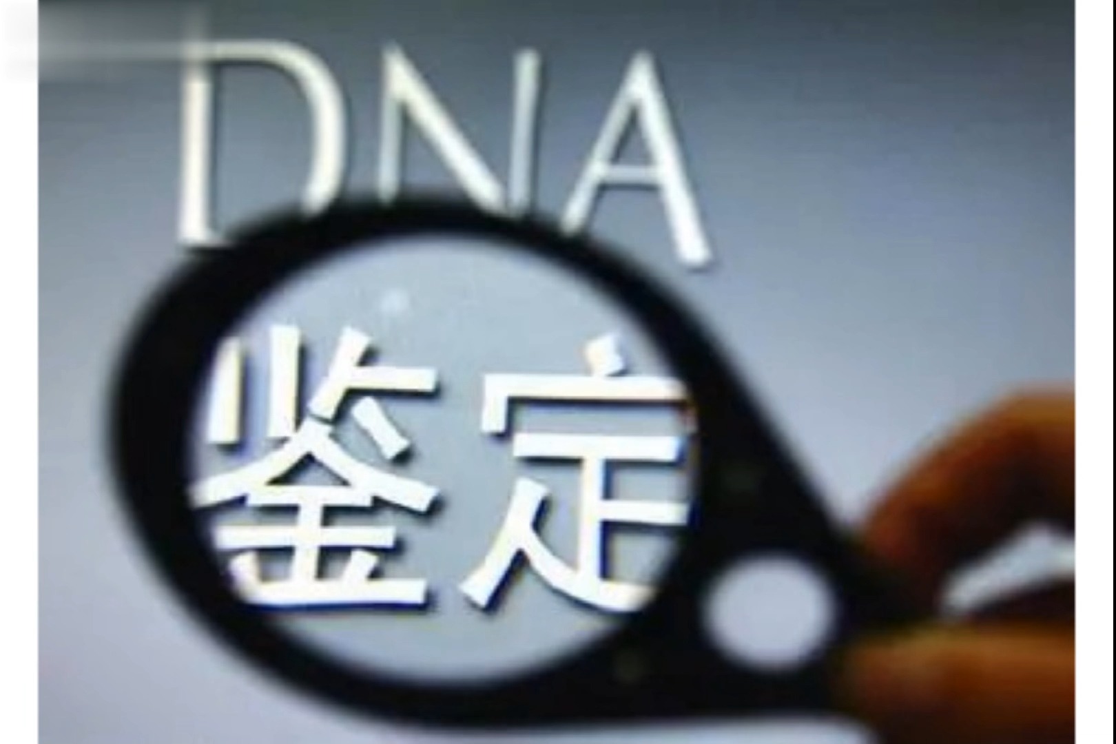 DNA亲子鉴定的科学原理哔哩哔哩bilibili