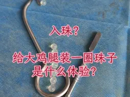 Descargar video: 给大鸡腿镶珠是什么体验？元淏龙珠文化