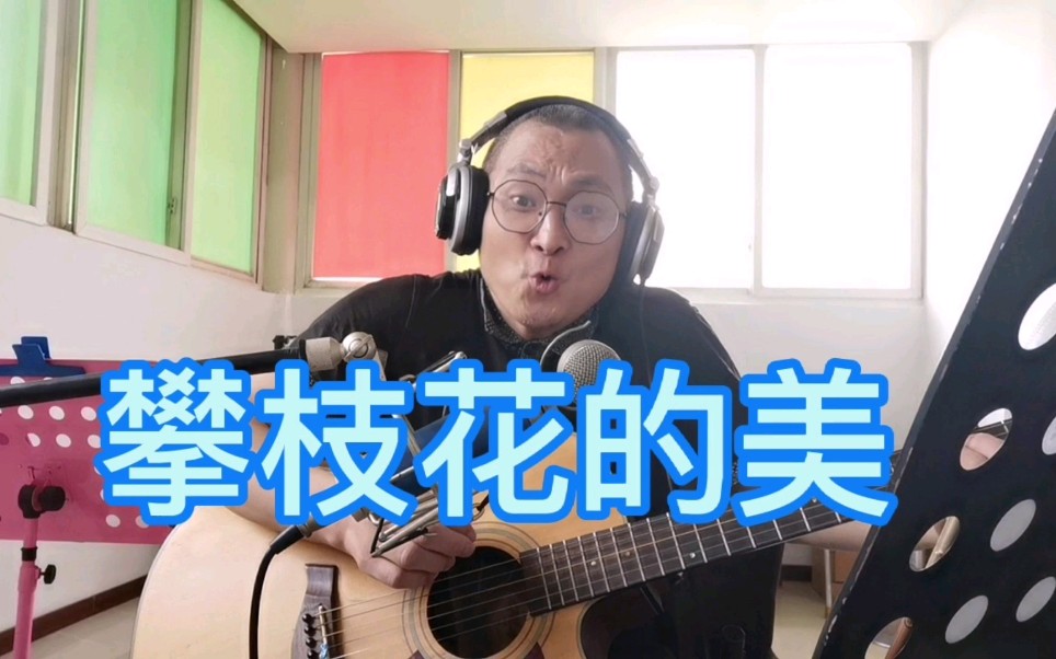 攀枝花有多美,请听这首原创歌曲《攀枝花的美》哔哩哔哩bilibili