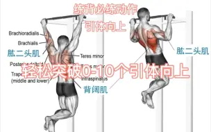 下载视频: 练这三个动作可以助你，轻松突破0—10个引体向上