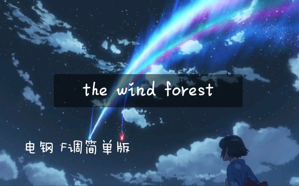 [图]《the wind forest》电钢版