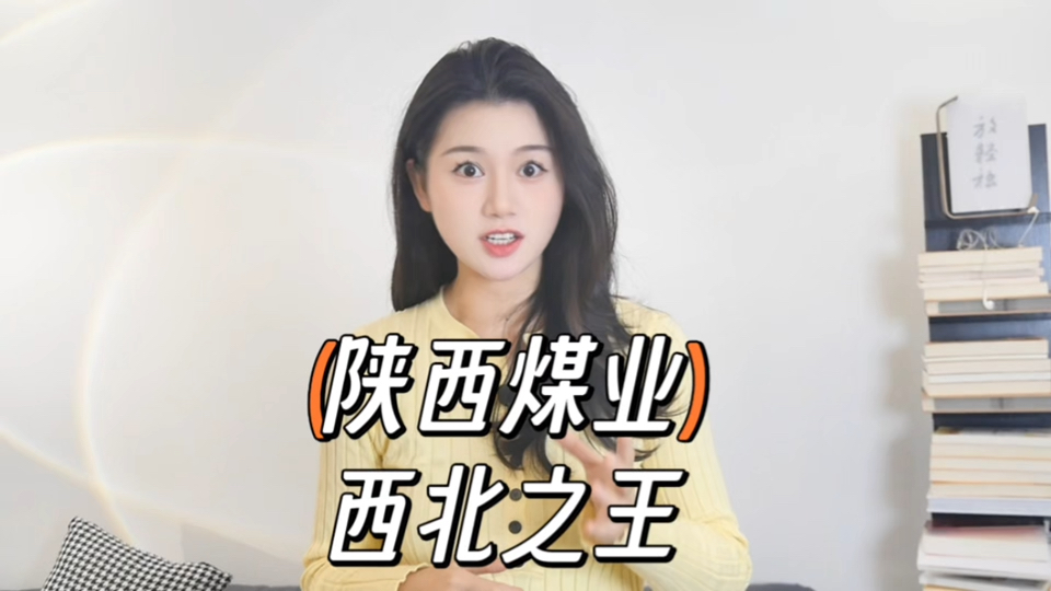 “陕西煤业”业绩大起大落,如何破局?哔哩哔哩bilibili