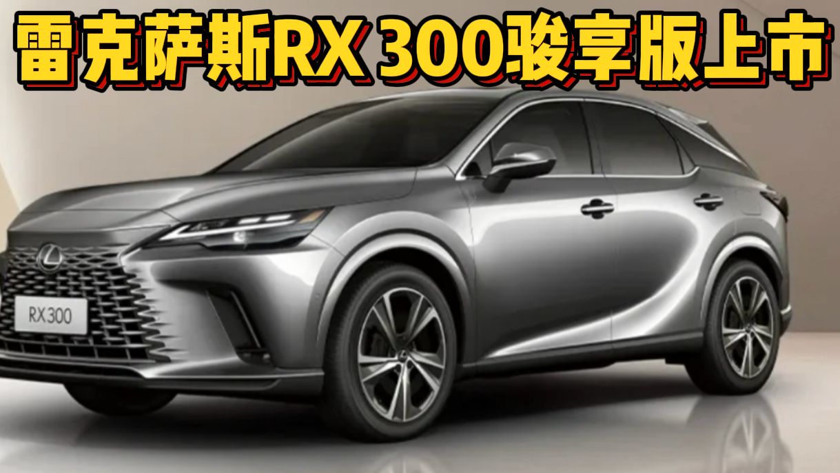 售价38万元,雷克萨斯RX 300骏享版上市,搭载2.0T发动机哔哩哔哩bilibili