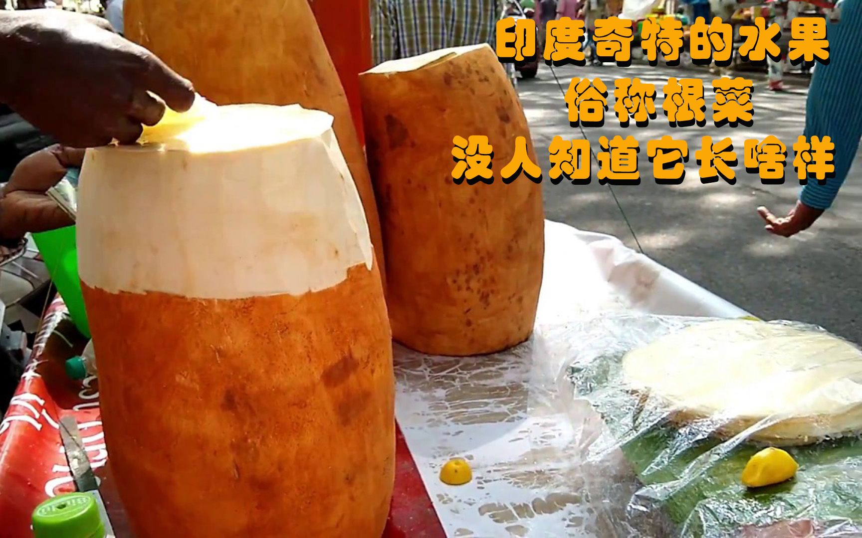 印度活根素功效(印度活根素:神奇的天然草药)