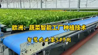 Download Video: 欧洲，蔬菜智能工厂种植技术