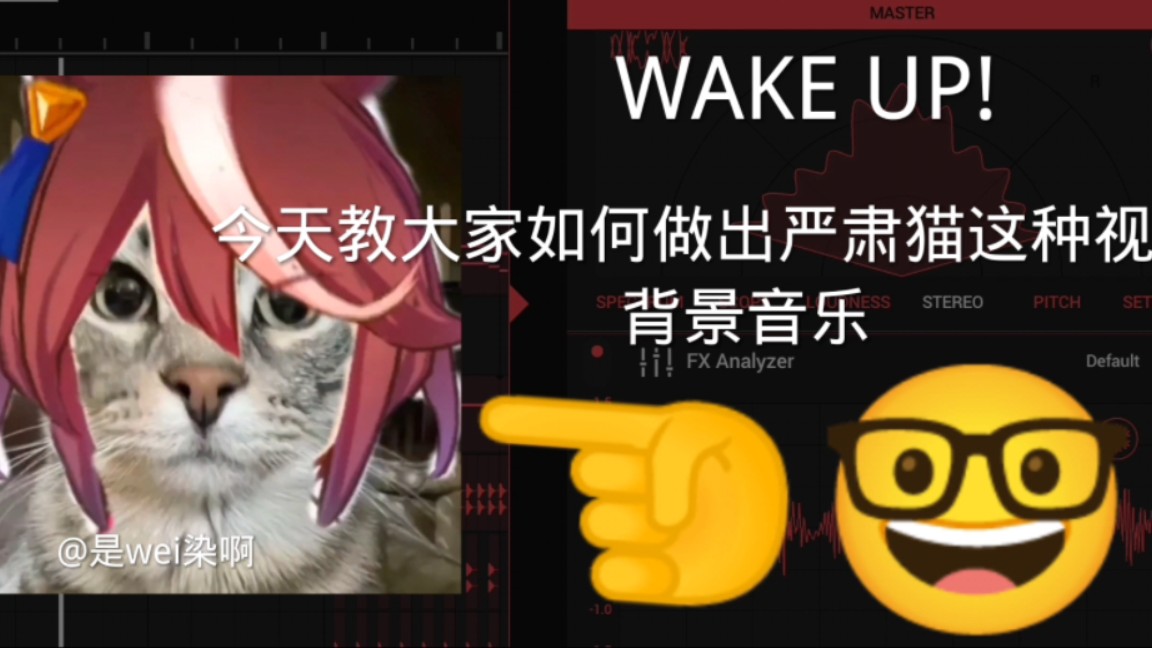 [图]今天三分钟教你做出meme《严肃猫の小曲》WAKE UP! 过家家的游戏，到此为止了哦